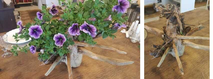 Bæredygtig billig borddekoration træsstub med en plante Bæredygtig billig borddekoration træsstub med en plante - Fit 1200x1200