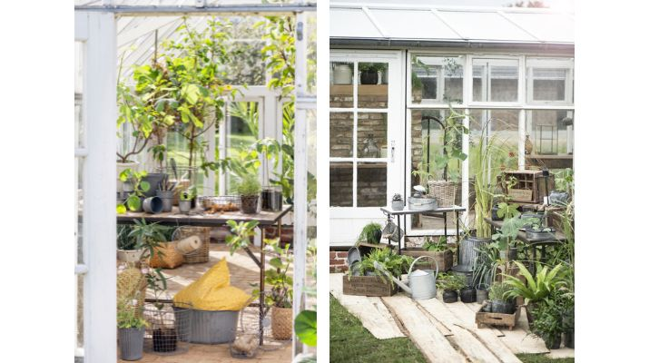 drivhus lavet af gamle vinduer bæredygtigt genbrug i haven drivhus lavet af gamle vinduer bæredygtigt genbrug i haven - Fit 800x800